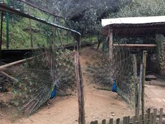 -新安江山水画廊风景区