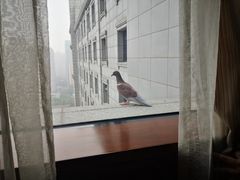 -西安赛瑞喜来登大酒店