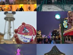 -巴黎迪士尼乐园