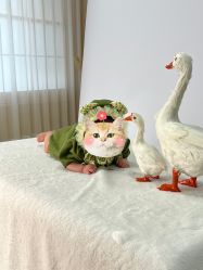 -童年儿童摄影(大连店)