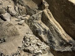-秦始皇帝陵博物院(兵马俑)
