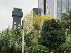 -青枫公园