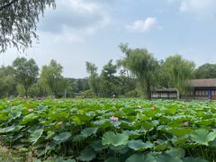 -承德避暑山庄景区