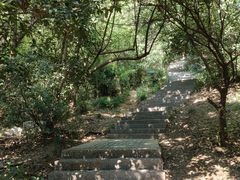 -紫金山天文台