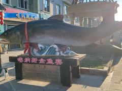 -布尔津河堤夜市