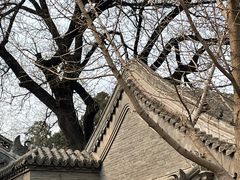 -保定直隶总督署博物馆