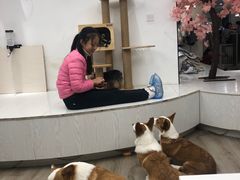 -浣熊柯尔鸭土拨鼠·电玩咖