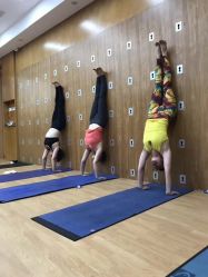 -LU YOGA（露瑜伽）专业瑜伽馆