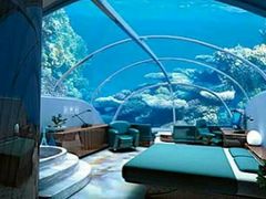 -迪拜水族馆及水下动物园