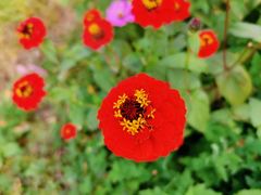 -长兴太湖图影湿地文化园