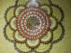 android_upload_pic-上海昆虫博物馆