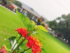 -浙江大学(玉泉校区)