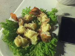 -越海渔村