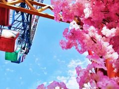 -石狮世茂摩天城摩天轮