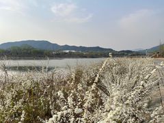 -十三陵水库