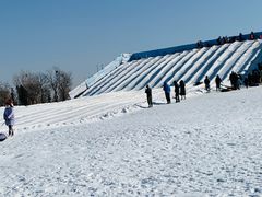 -绿野森林乐园冰雪季