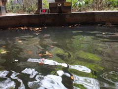 -西安国际创新人才交流中心•药浴温泉