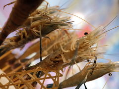 -大永發老火浓汤·经典粤菜(北滨路店)