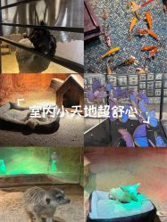 -酷嗒动物文化乐园(cutezoo西溪乐天城店)