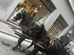 -斯蒂芬主教座堂(Stephansdom)