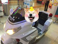 -汤姆熊欢乐世界·史莱姆怪兽(正大店)