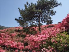 -木兰云雾山