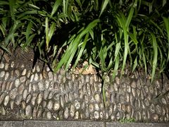 -浙江西子宾馆·牡丹厅