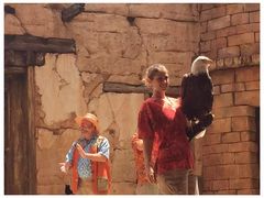 -奥兰多迪士尼动物王国乐园