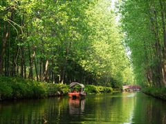 -合肥滨湖国家森林公园