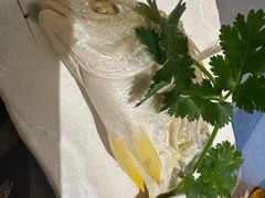 -大浪潮·潮汕菜·招牌生腌小青龙(福田店)