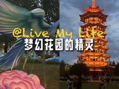 -洋湖国家湿地公园