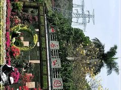-仙岳公园