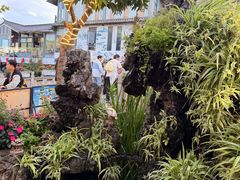 -海韵人家.海景花园经典云南菜(双廊店)