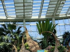 -石家庄市植物园