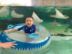 -新加坡水上探险乐园