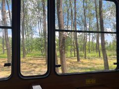 -合肥滨湖国家森林公园