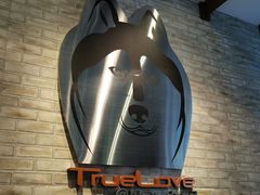 -TrueLove @ Neverland (Husky Cafe)