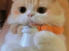 -Tims天好咖啡·贝果(东方广场店)
