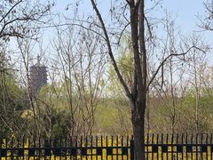 -永定河休闲森林公园