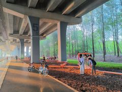 -宝安西湾红树林湿地公园