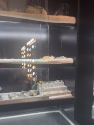 -鼎极摄影(世纪金源店)