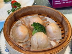 -金汇酒楼(中山东区店)