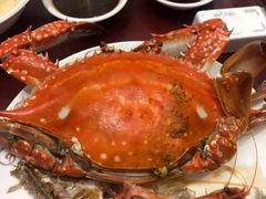 -海景苑海鲜大酒店(吕四店)