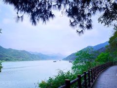 -羚羊峡古栈道森林公园