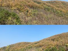 -九真山风景区