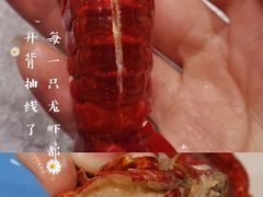 -洪福龙虾