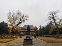 -苏州文庙(姑苏区)