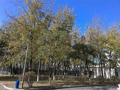 android_upload_pic-辽宁大学(崇山校区)