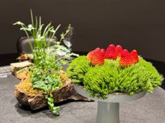 -会仙楼(金融街店)