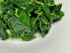 清炒豆苗-太湖饭店·寄畅轩中餐厅
